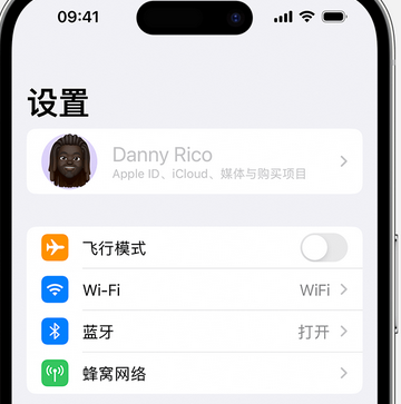 乌兰appleID维修服务iPhone设置中Apple ID显示为灰色无法使用 