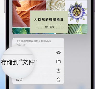 乌兰apple维修中心分享iPhone文件应用中存储和找到下载文件