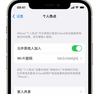 乌兰apple服务站点分享iPhone上个人热点丢失了怎么办 