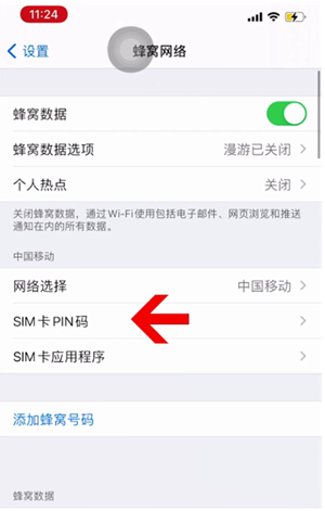 乌兰苹果14维修网分享如何给iPhone14的SIM卡设置密码 