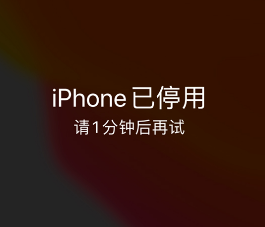 乌兰苹果手机维修分享:iPhone 显示“不可用”或“已停用”怎么办？还能保留数据吗？ 