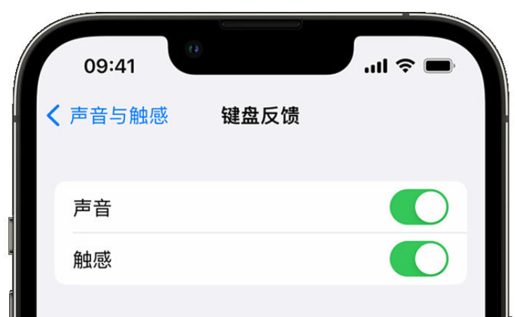 乌兰苹果手机维修分享iPhone 14触感键盘使用方法 