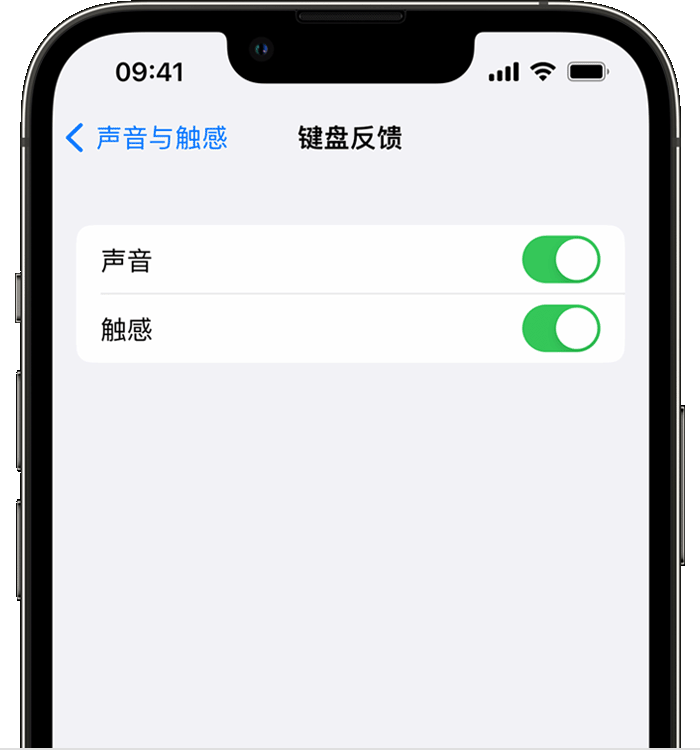 乌兰苹果14维修店分享如何在 iPhone 14 机型中使用触感键盘 