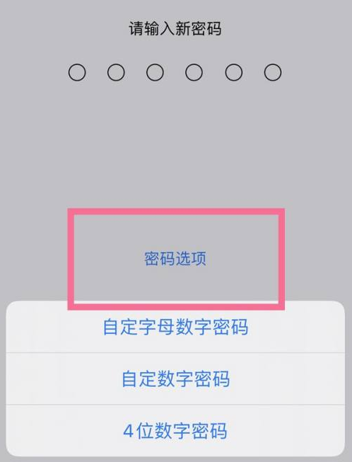 乌兰苹果14维修分享iPhone 14plus设置密码的方法 