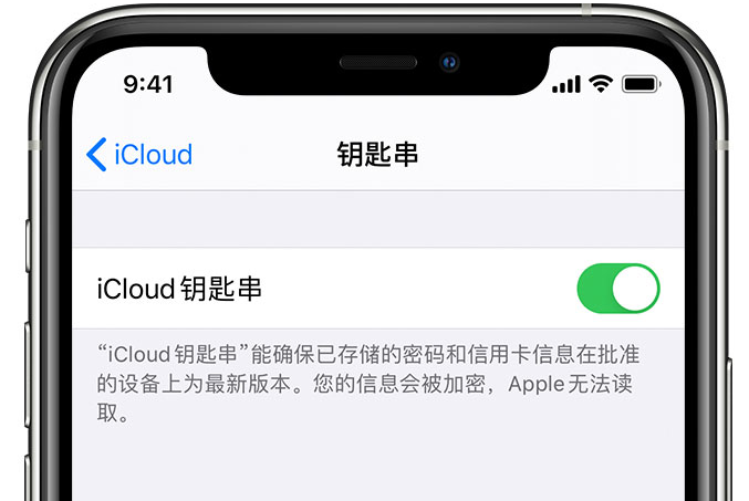 乌兰苹果手机维修分享在 iPhone 上开启 iCloud 钥匙串之后会储存哪些信息 